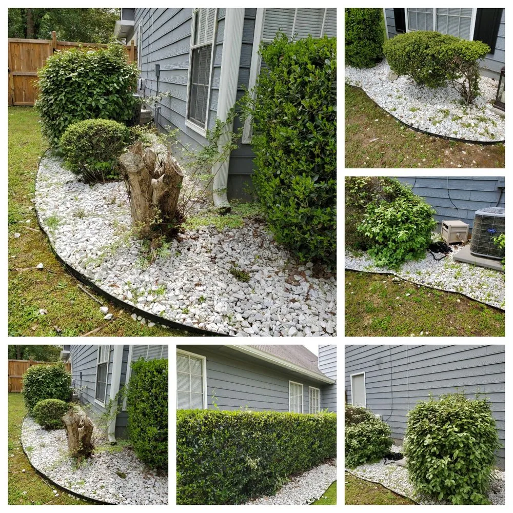 Expert landscape design for beautiful yards in Conley, GA by Buck With The Truck