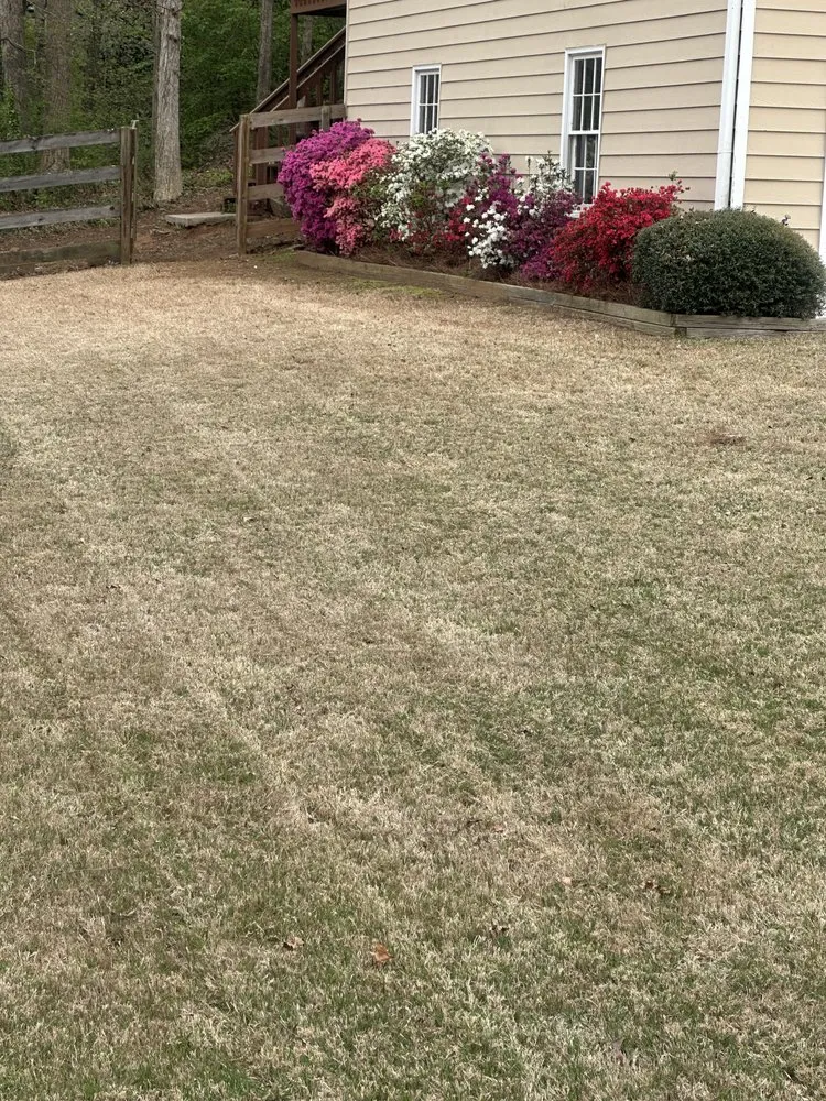 Affordable landscaping services in Holly Springs, GA by Bucket Crew Outdoors