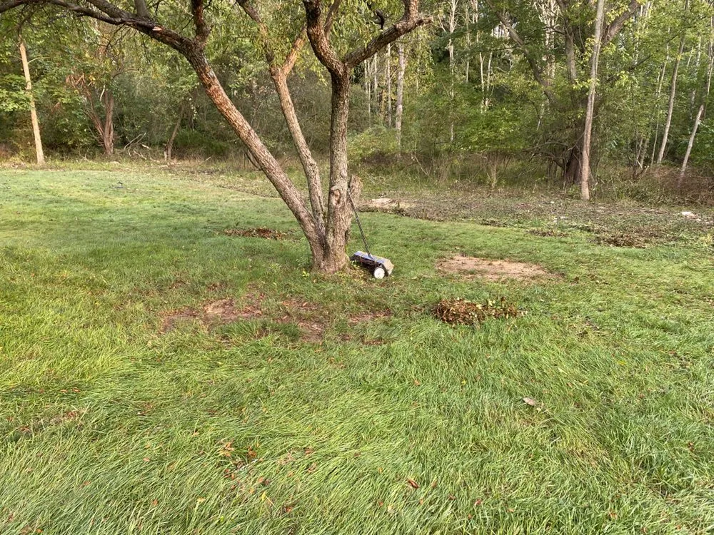 Local yard maintenance with custom design in Cuyahoga Falls, OH by Buckeye Affordable Lawn & Tree Services