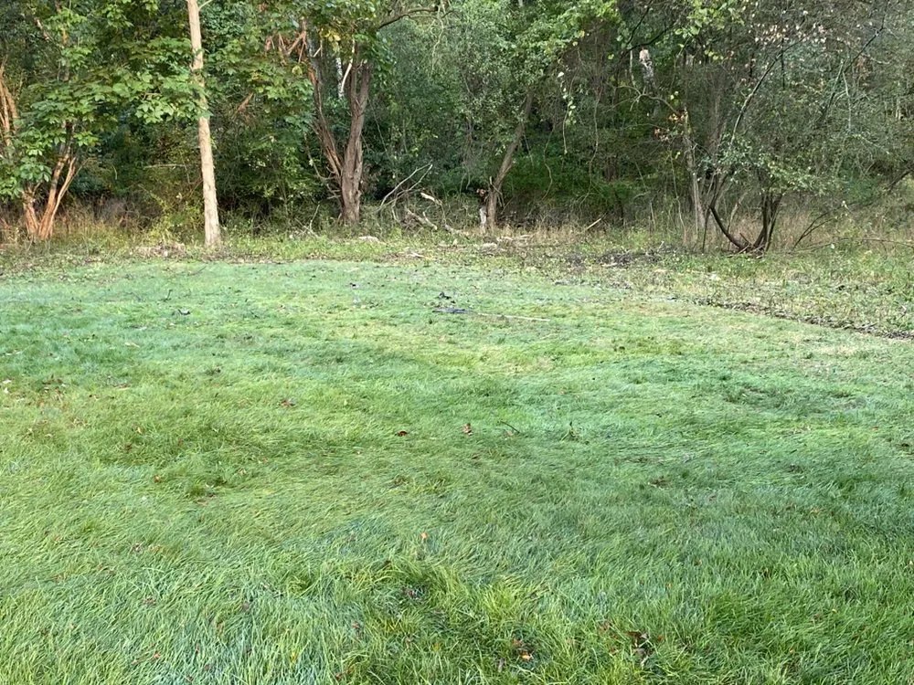 Top-rated yard cleanup service experts serving Cuyahoga Falls, OH - Buckeye Affordable Lawn & Tree Services