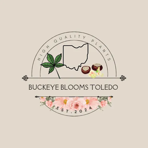 Affordable residential landscaping experts serving Toledo, OH - Buckeye Blooms Toledo