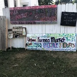 Reliable lawn care service experts serving Toledo, OH - Buckeye Blooms Toledo