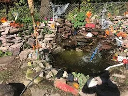 Affordable residential landscaping experts serving Toledo, OH - Buckeye Blooms Toledo