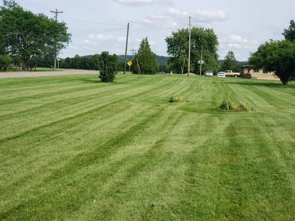 Professional lawn care service in Canal Winchester, OH by Buckeye Dan's Affordable Lawn Services
