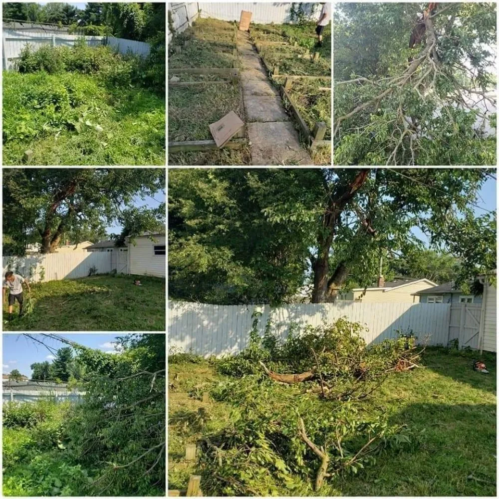 Professional residential landscaping experts serving Canal Winchester, OH - Buckeye Dan's Affordable Lawn Services