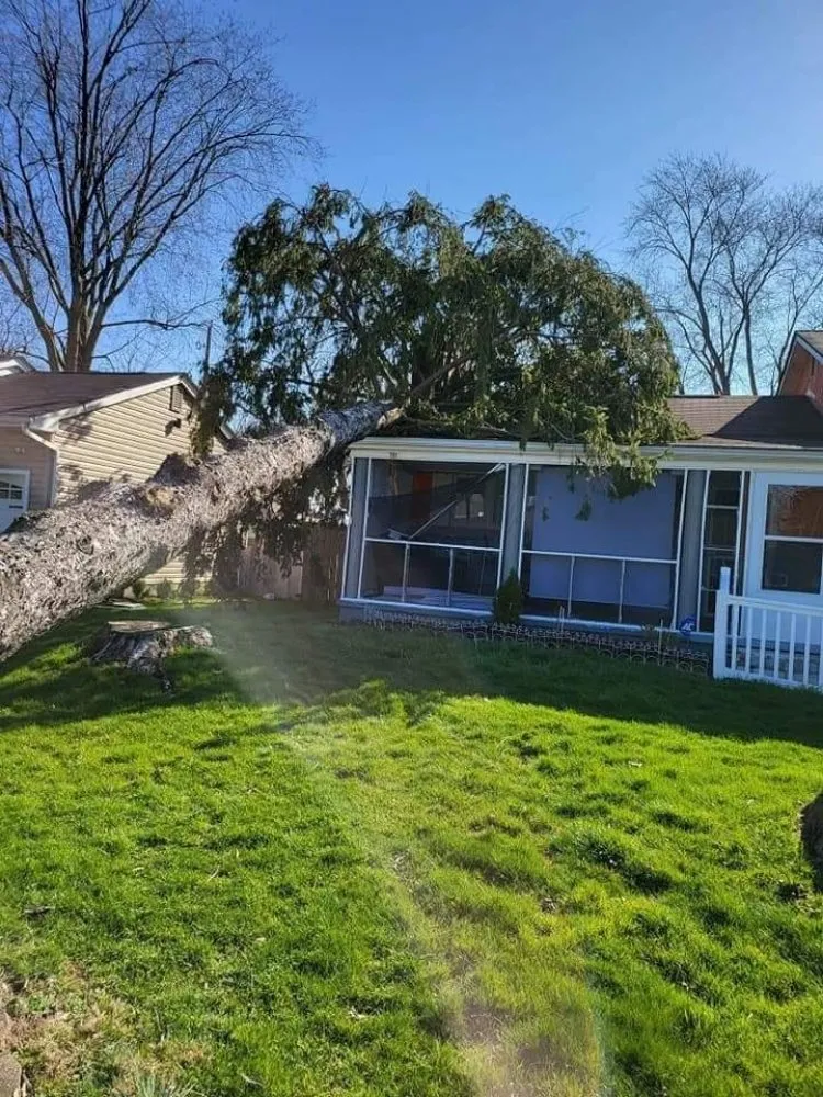 Reliable yard cleanup service in Canal Winchester, OH - Buckeye Dan's Affordable Lawn Services