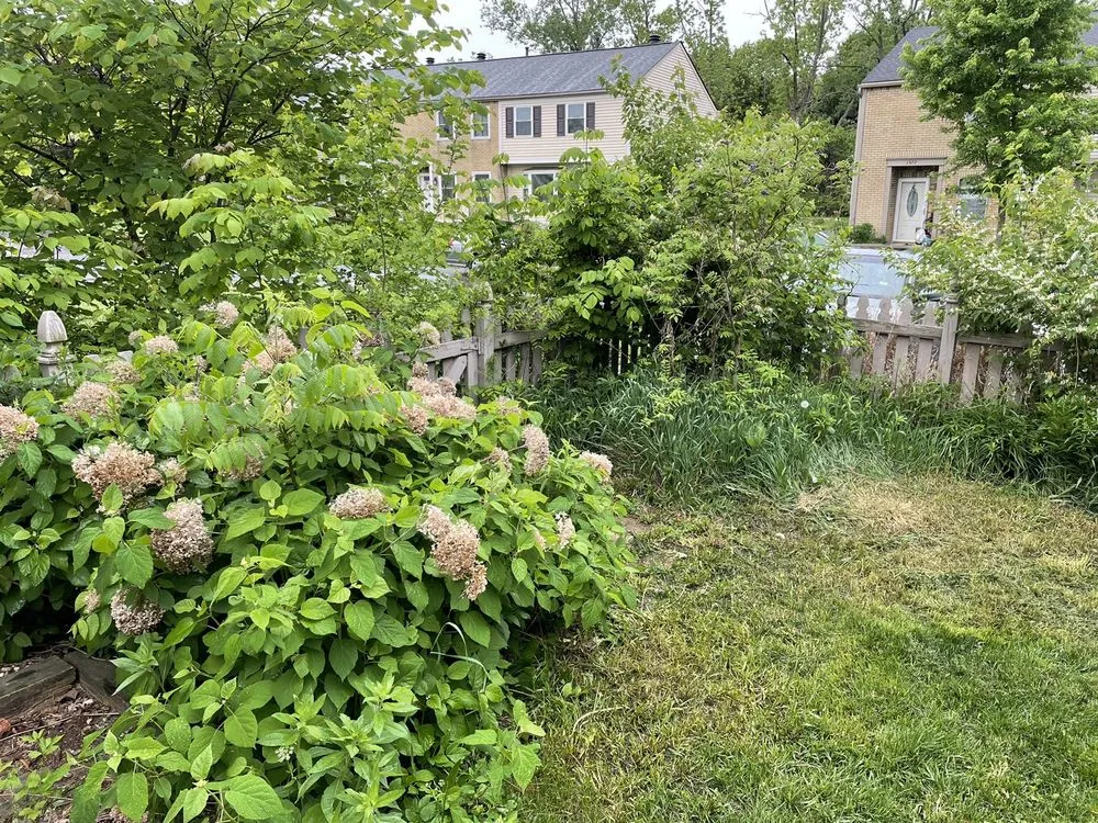 Affordable lawn care service experts serving Canal Winchester, OH - Buckeye Dan's Affordable Lawn Services