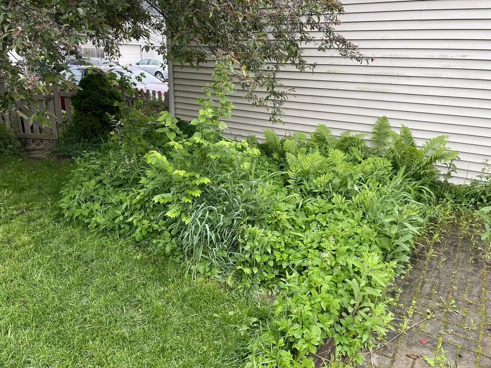 Custom landscape design experts serving Canal Winchester, OH - Buckeye Dan's Affordable Lawn Services