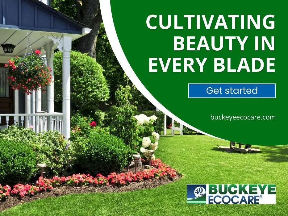 Top-rated lawn care service in Miamisburg, OH by Buckeye Ecocare