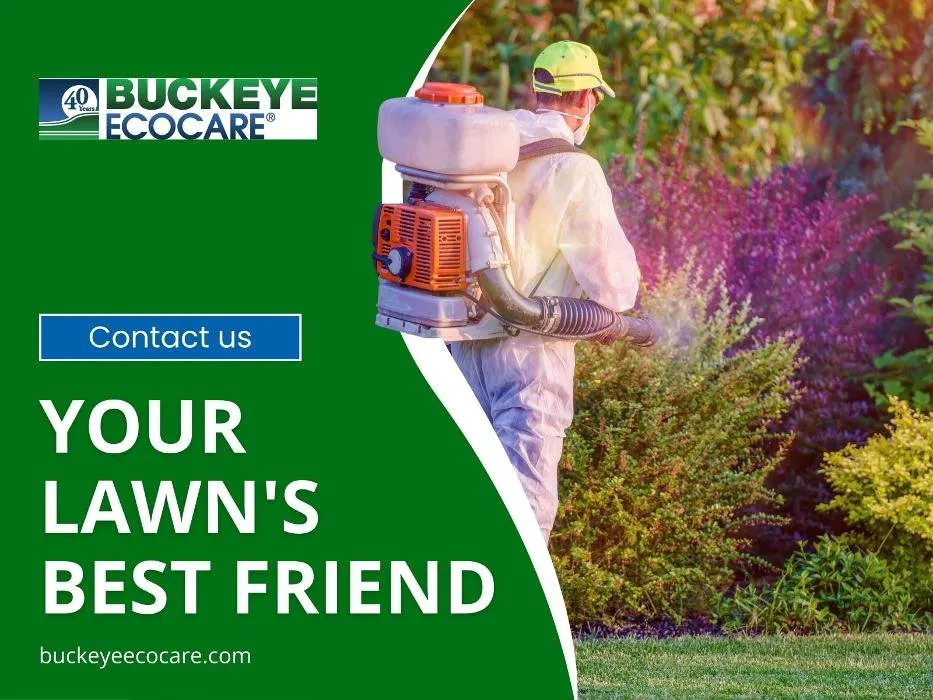 Affordable yard cleanup service for outdoor upgrades in Miamisburg, OH by Buckeye Ecocare