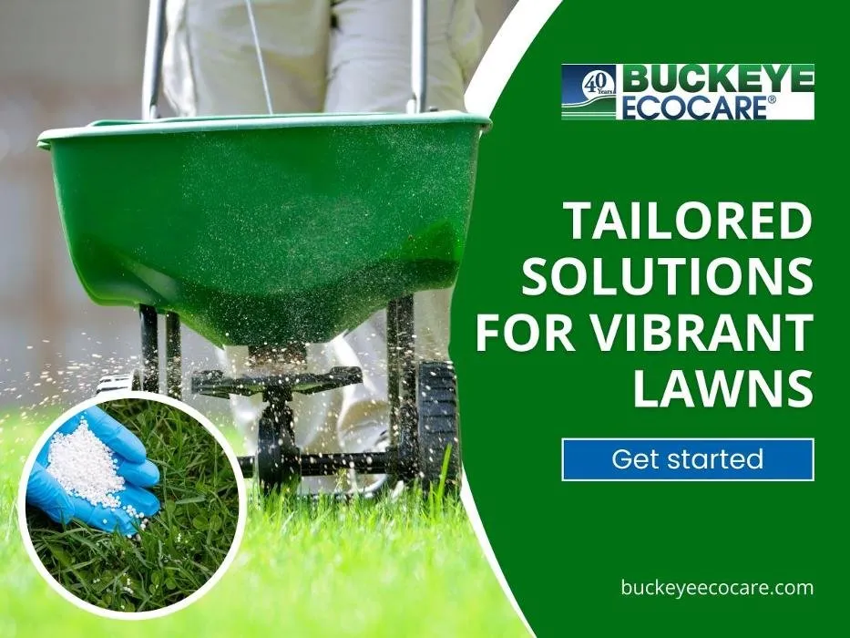 Local landscape design in Miamisburg, OH by Buckeye Ecocare