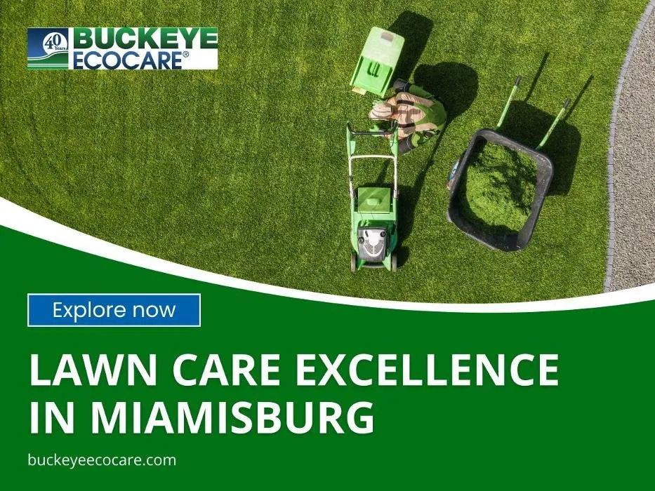 Expert garden landscaping with custom design across Miamisburg, OH - Buckeye Ecocare