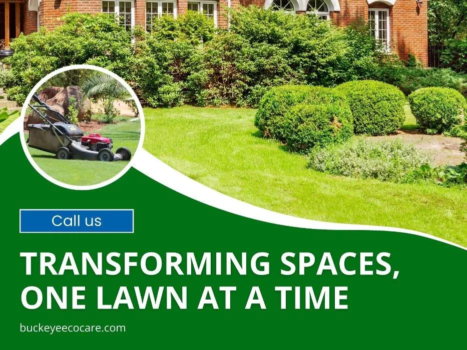 Trusted yard cleanup service in Miamisburg, OH by Buckeye Ecocare