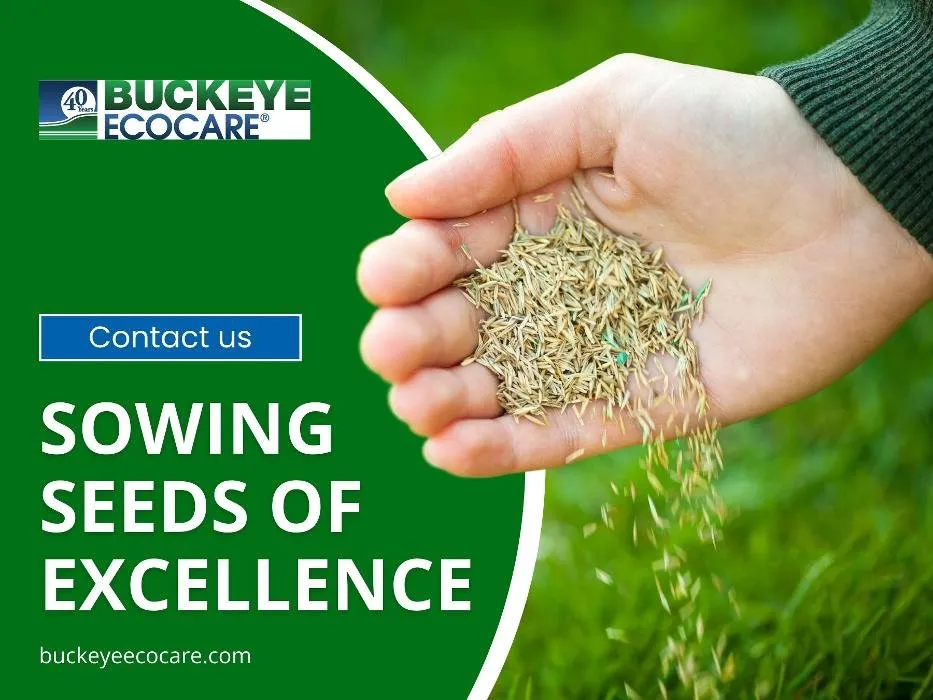 Local residential landscaping experts serving Miamisburg, OH - Buckeye Ecocare