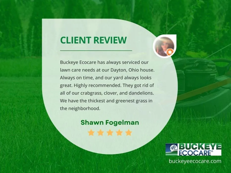 Trusted outdoor landscaping near you across Miamisburg, OH - Buckeye Ecocare