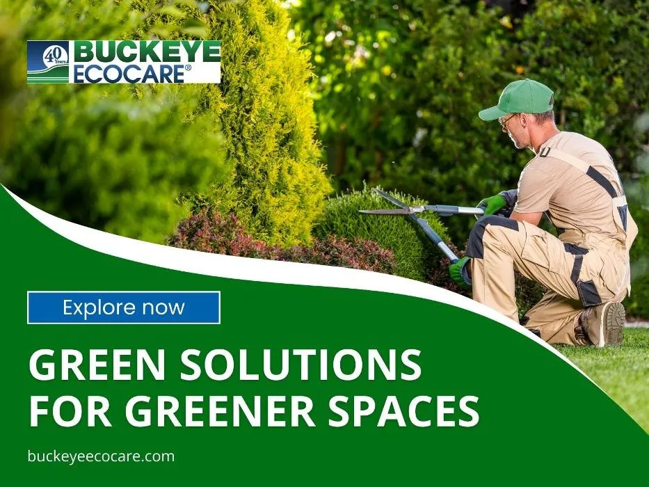 Professional lawn care service in Miamisburg, OH - Buckeye Ecocare