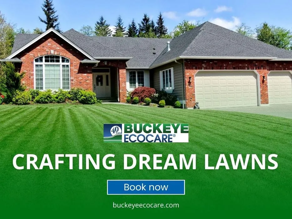 Affordable lawn care service for residential properties in Miamisburg, OH by Buckeye Ecocare