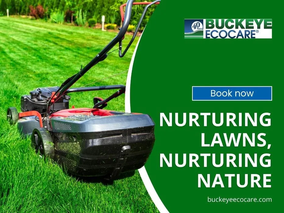 Reliable lawn mowing service for residential properties across Miamisburg, OH - Buckeye Ecocare