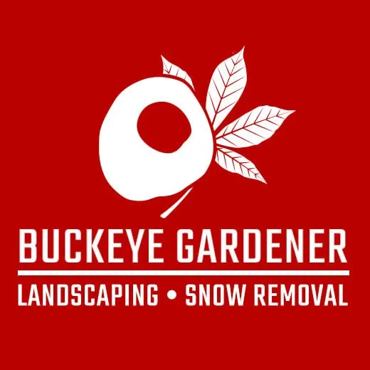 Expert lawn mowing service in Colorado Springs, CO - Buckeye Gardener