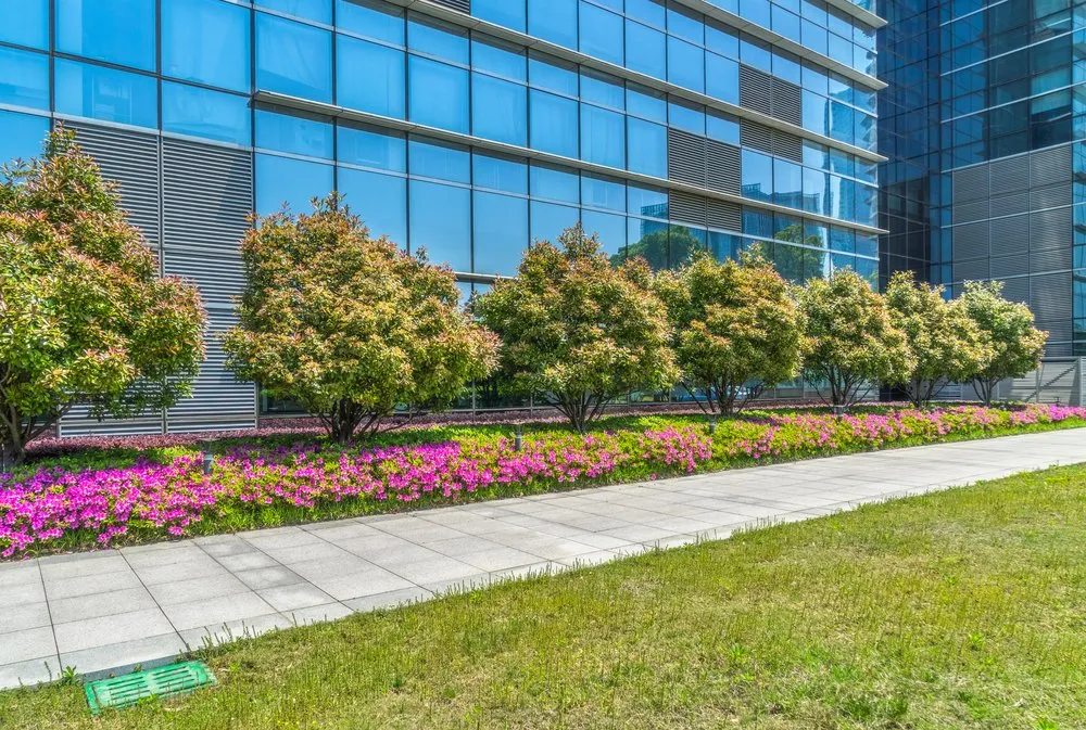 Reliable landscape installation in Blacklick, OH by Buckeye Landscape Service