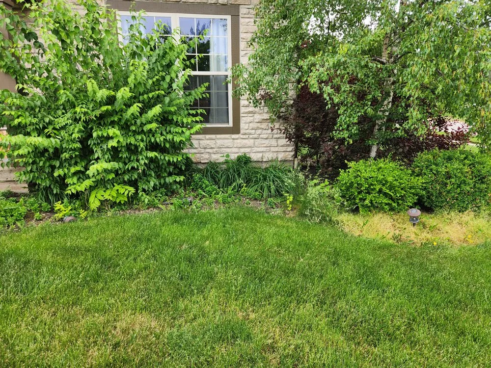 Expert landscape design with custom design across Hilliard, OH - Buckeye Lawn Cutters