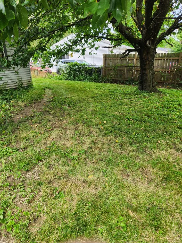 Expert landscaping services experts serving Hilliard, OH - Buckeye Lawn Cutters