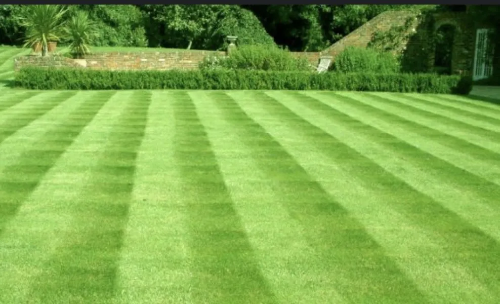 Reliable landscape design for beautiful yards in Millersburg, OH by Buckeye lawnmowing