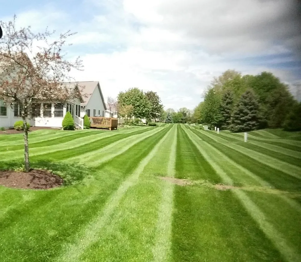 Local yard cleanup service near you in Wooster, OH by Buckeye Outdoor Solutionz