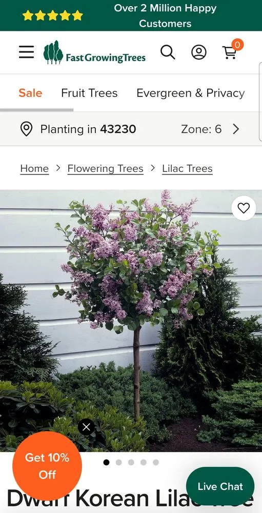 Top-rated landscaping services for homes across Columbus, OH - Buckeye Shine Landscaping