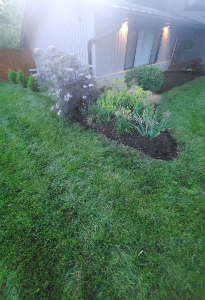 Professional yard cleanup service near you across Columbus, OH - Buckeye Shine Landscaping