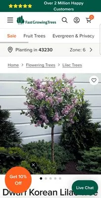 Buckeye Shine Landscaping Logo