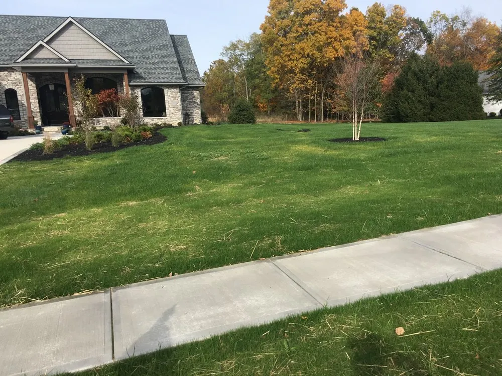 Top-rated lawn care service in Williamsport, OH - Buckeye State Seeding