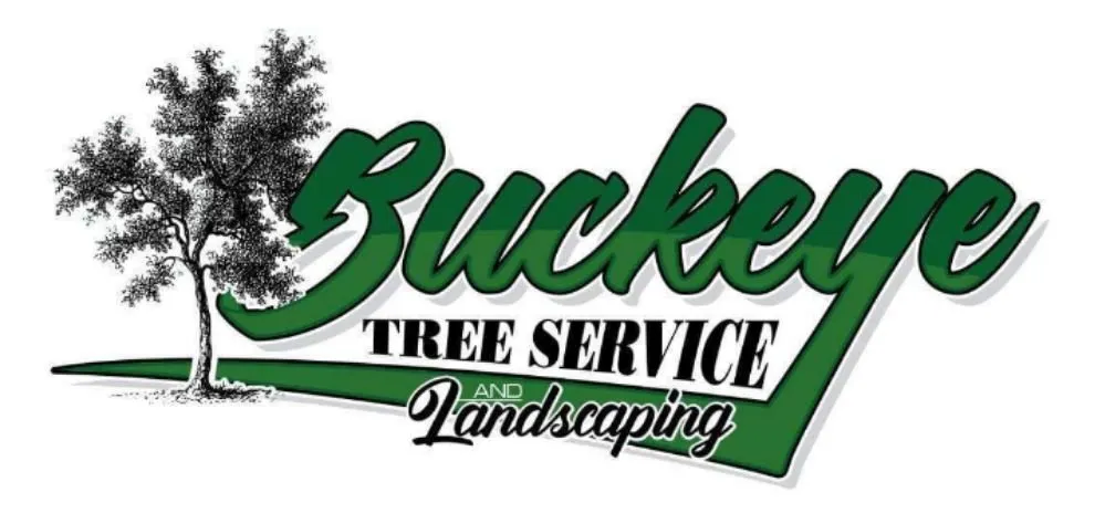 Professional lawn care service with custom design across Busy, KY - Buckeye Tree Service & Landscaping