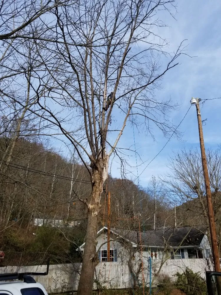 Expert garden landscaping for residential properties in Busy, KY by Buckeye Tree Service & Landscaping