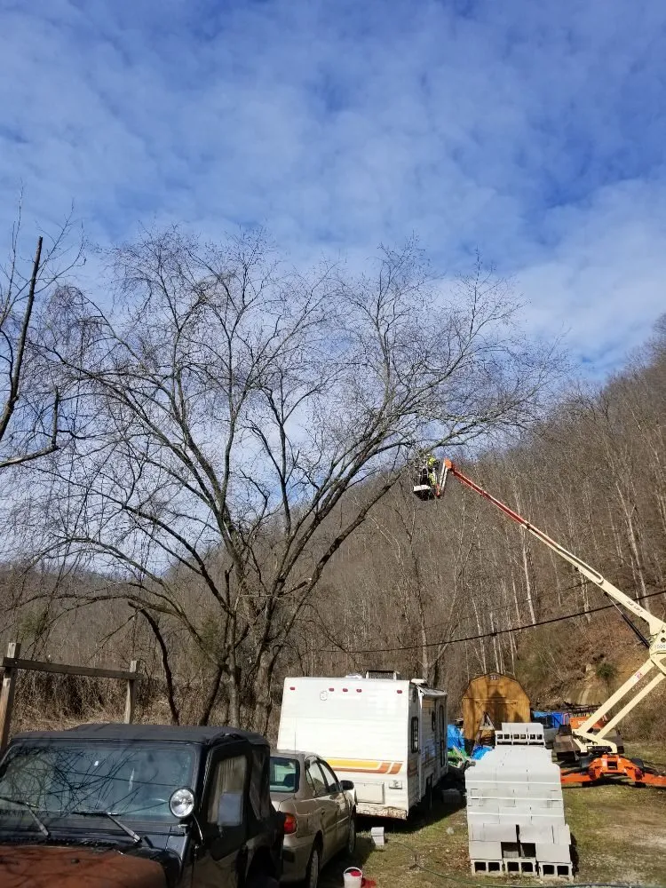 Local yard cleanup service experts serving Busy, KY - Buckeye Tree Service & Landscaping