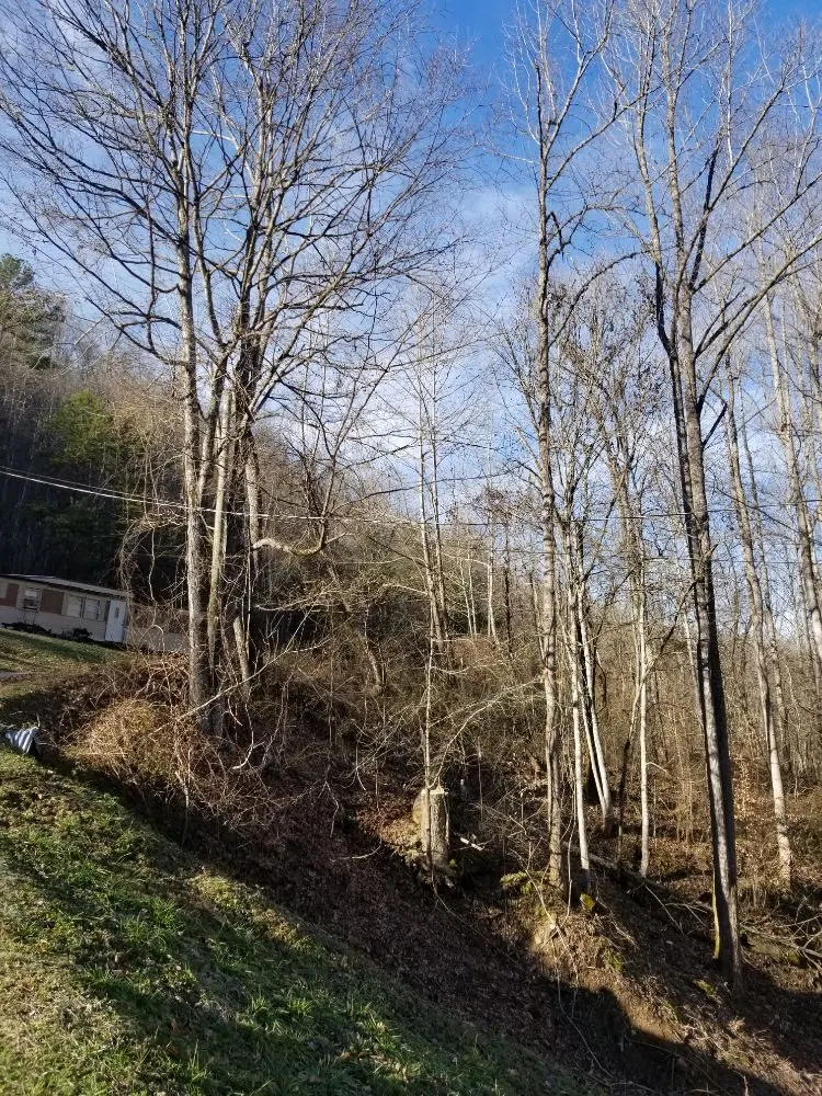 Reliable landscape design for residential properties across Busy, KY - Buckeye Tree Service & Landscaping