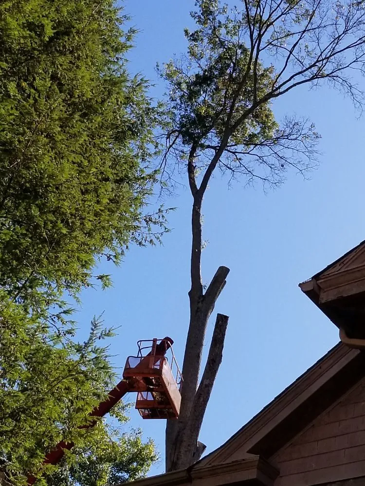 Custom outdoor landscaping experts serving Busy, KY - Buckeye Tree Service & Landscaping