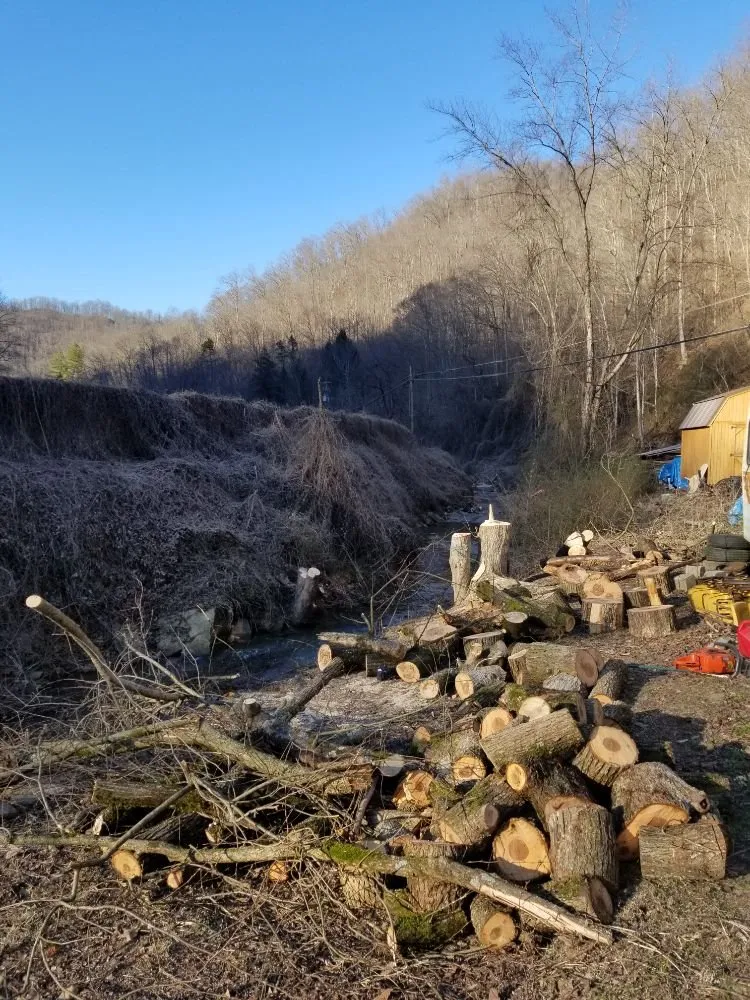 Expert garden landscaping in Busy, KY - Buckeye Tree Service & Landscaping