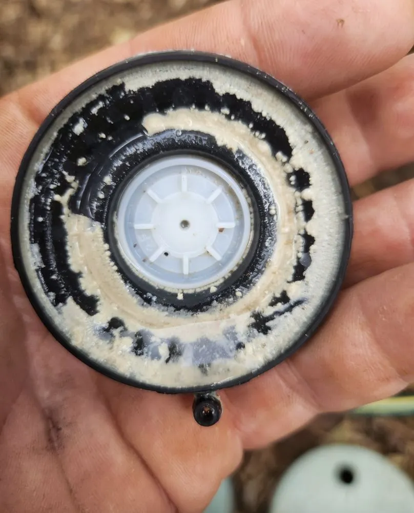 Custom landscape installation with custom design in Ruskin, FL by Buckholts Landscape and Maintenance