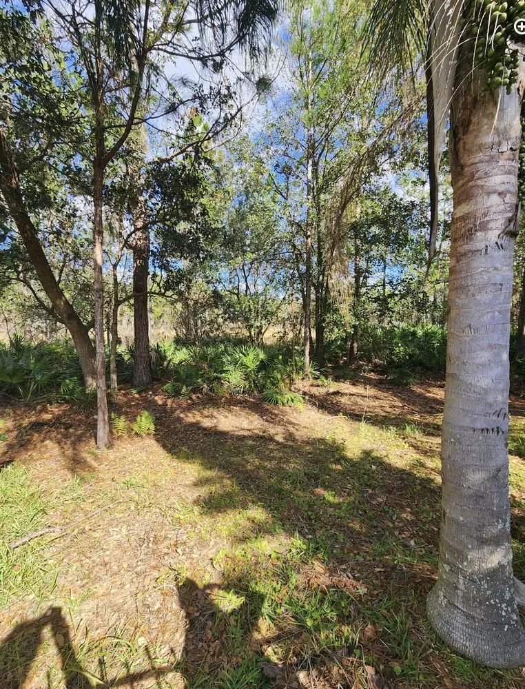 Expert residential landscaping for residential properties in Ruskin, FL by Buckholts Landscape and Maintenance