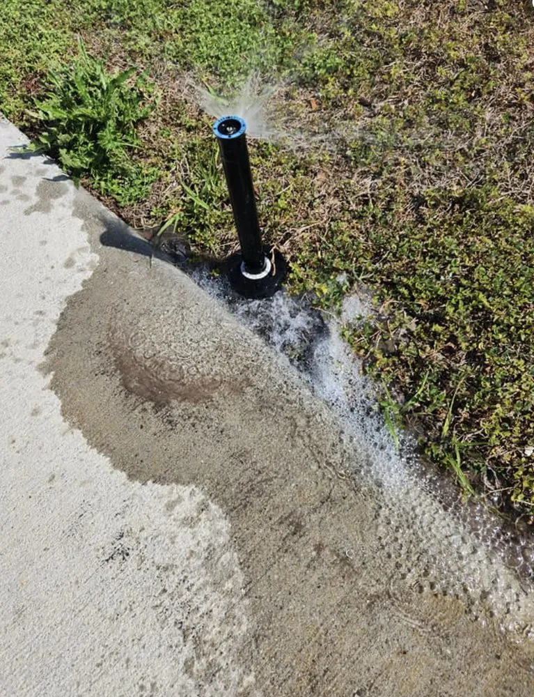 Trusted landscape design near you in Ruskin, FL by Buckholts Landscape and Maintenance