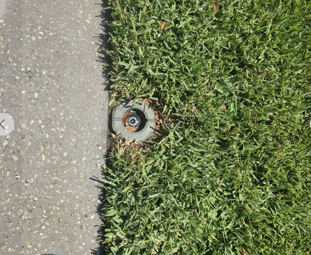 Expert yard cleanup service in Ruskin, FL by Buckholts Landscape and Maintenance