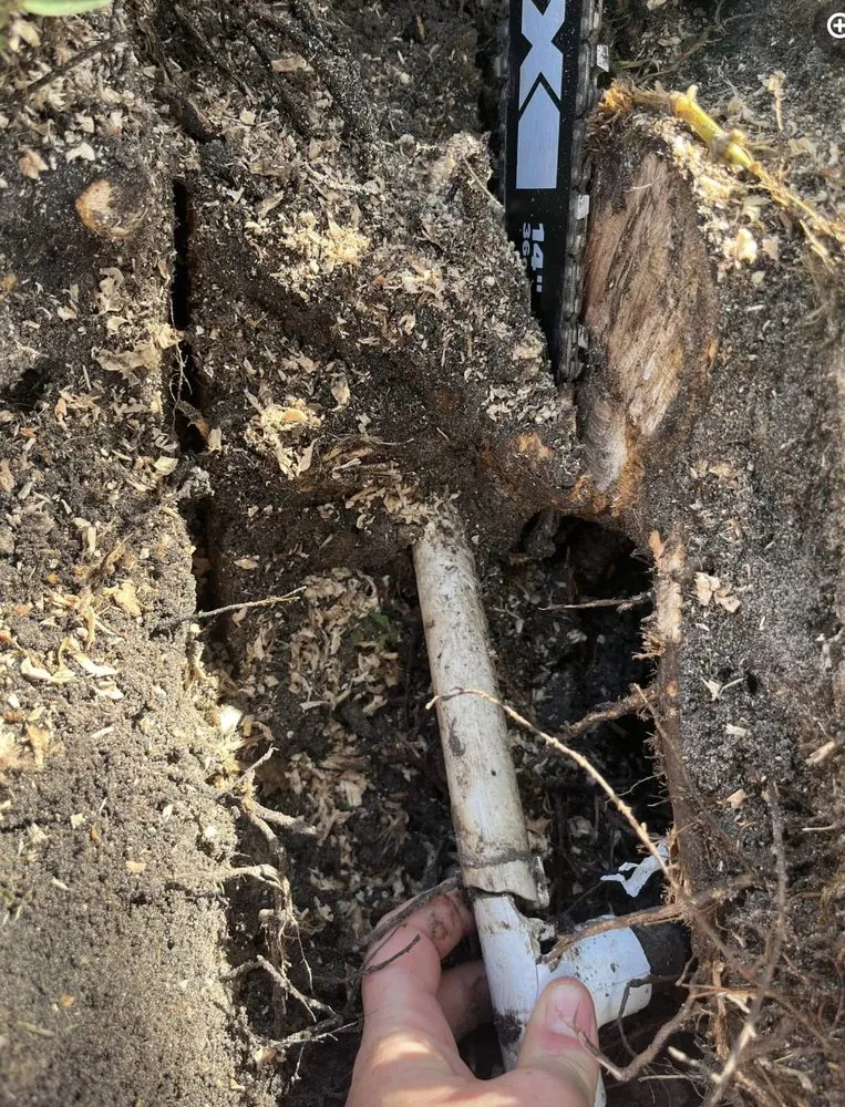 Professional landscape design experts serving Ruskin, FL - Buckholts Landscape and Maintenance