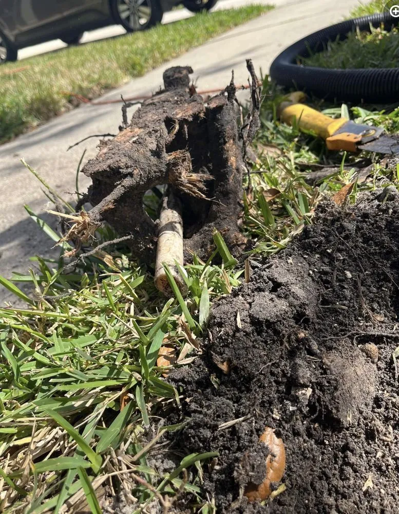 Top-rated garden landscaping experts serving Ruskin, FL - Buckholts Landscape and Maintenance