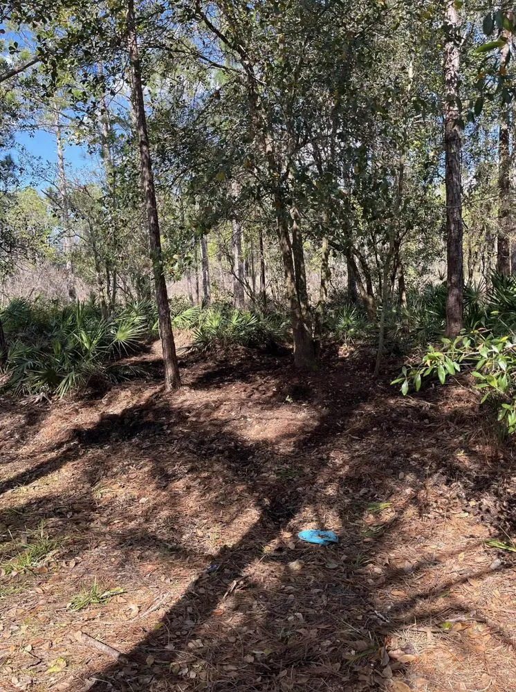 Custom residential landscaping for homes across Ruskin, FL - Buckholts Landscape and Maintenance