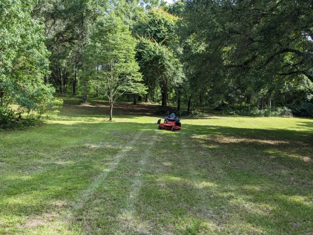 Top-rated landscape design in Greenville, FL - Buckhorn Lawn Care