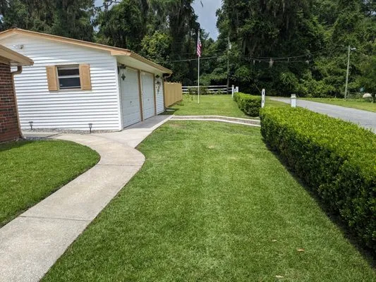 Buckhorn Lawn Care Logo