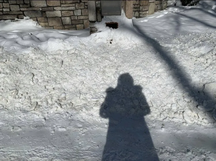 Expert yard maintenance in Kalamazoo, MI by Buckley Services