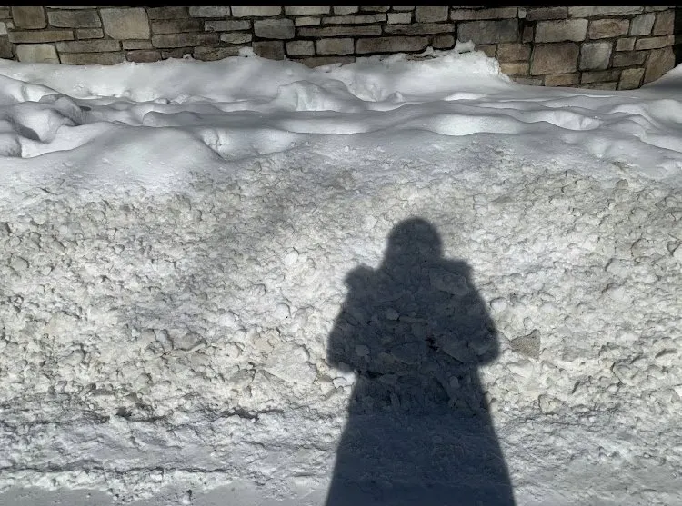 Professional yard maintenance with custom design in Kalamazoo, MI by Buckley Services