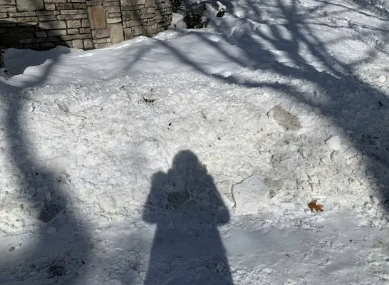 Buckley Services Logo